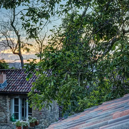 Casa Belvedere شقة *